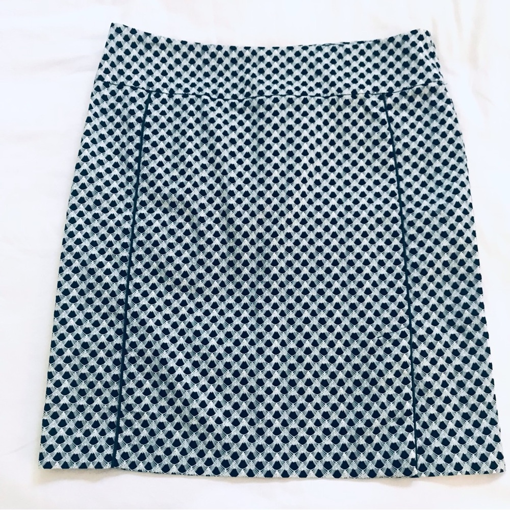 Margret M A-Line Selma Piping Detail Skirt Sz XL, Blue & White, EUC, Side Slit